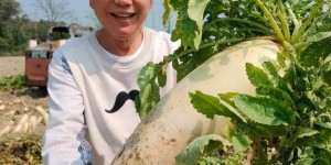 【EV扑克】《草地狀元》播出23年「確定收攤」！　74歲黃西田光榮退休